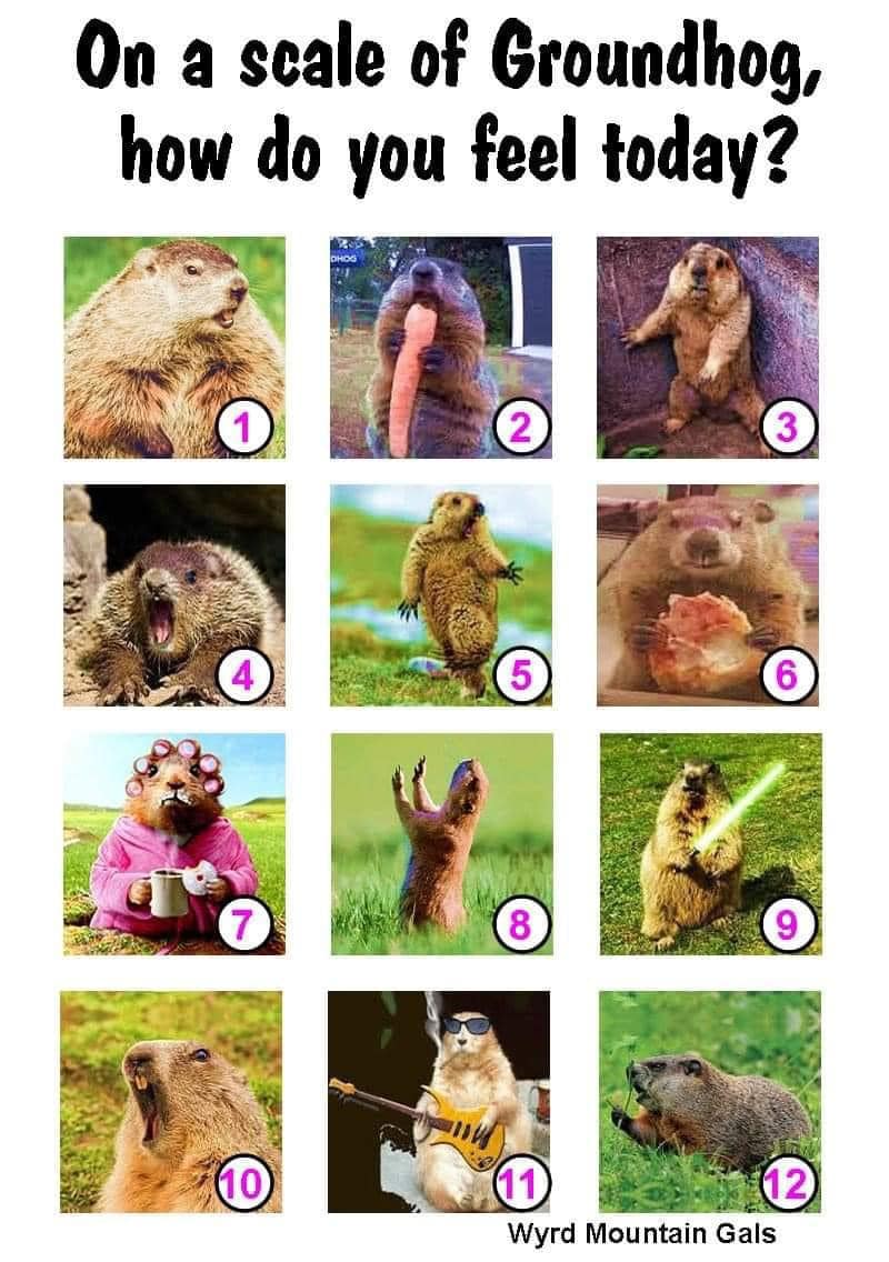 Groundhog mood chart